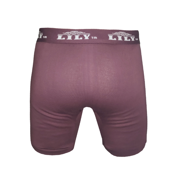 Burgundy Boxer Briefs 3-Pack main image 1