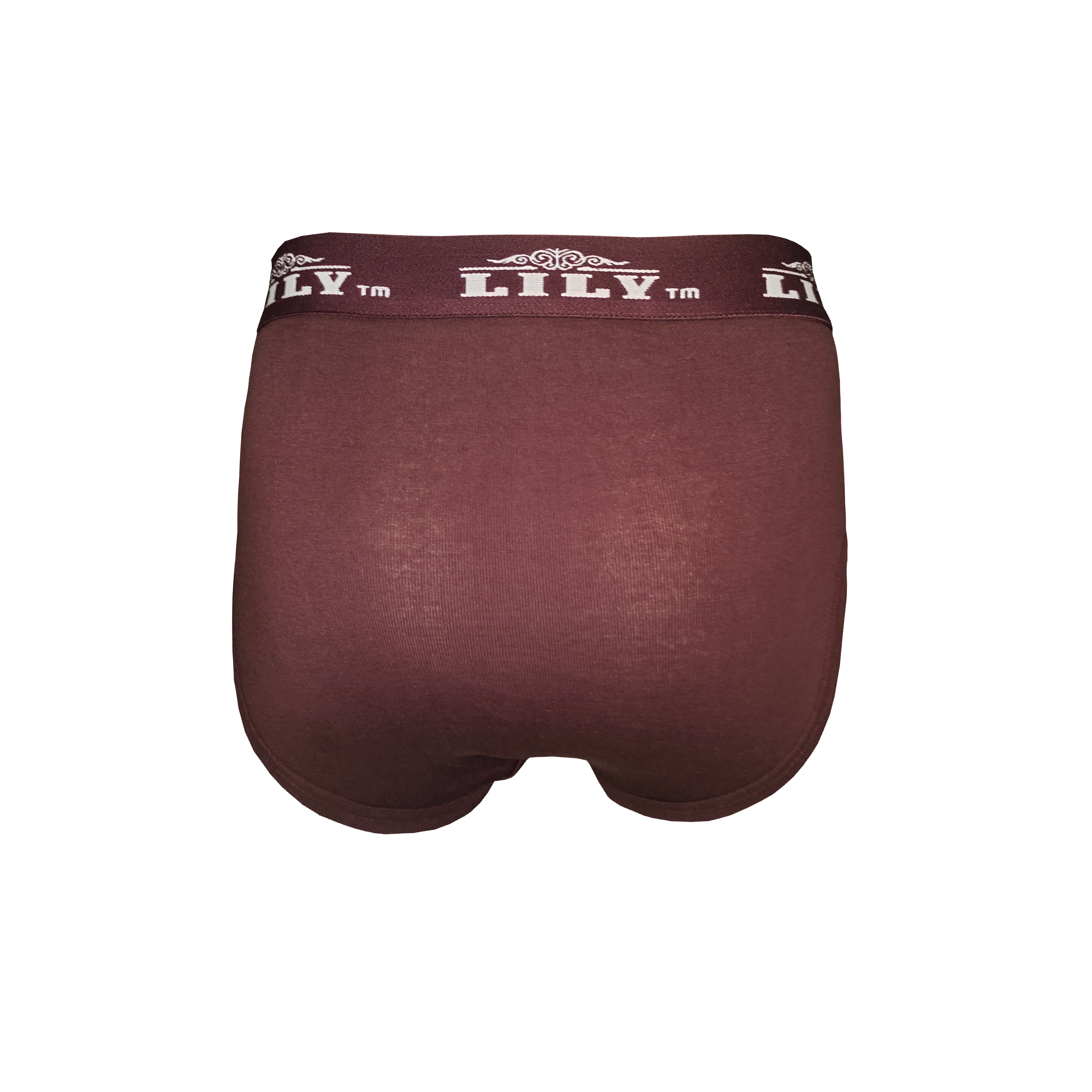 Men's luxury burgundy brief 101