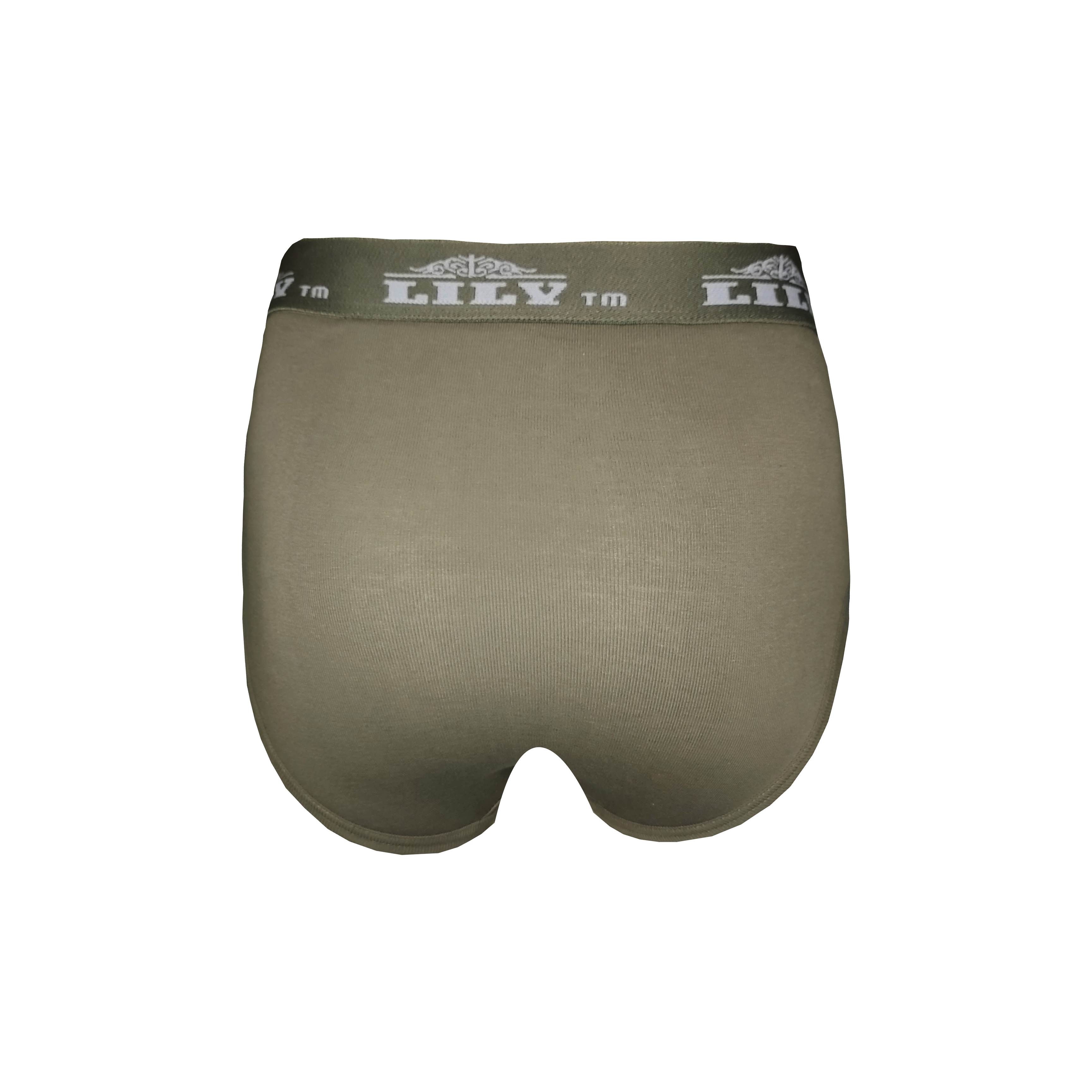 Men's luxury olive brief 101