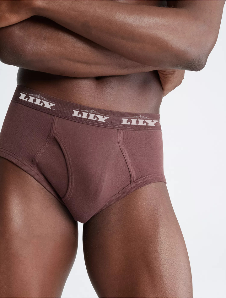 Men's luxury burgundy brief 101