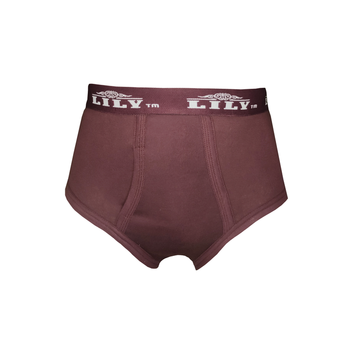 Men's luxury burgundy brief 101