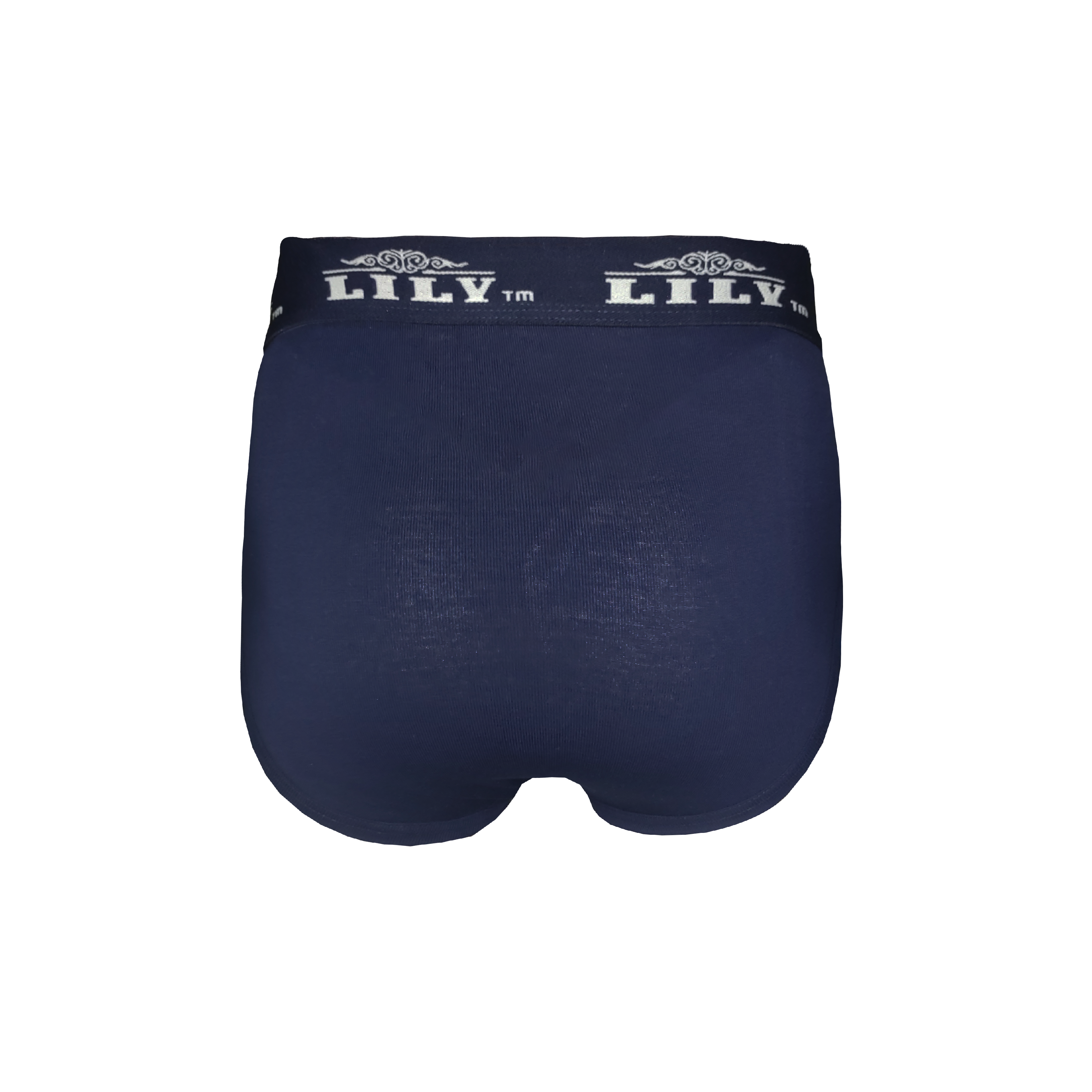 Men's luxury navy brief 101