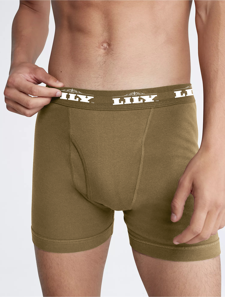 Men's luxury brown boxer 101