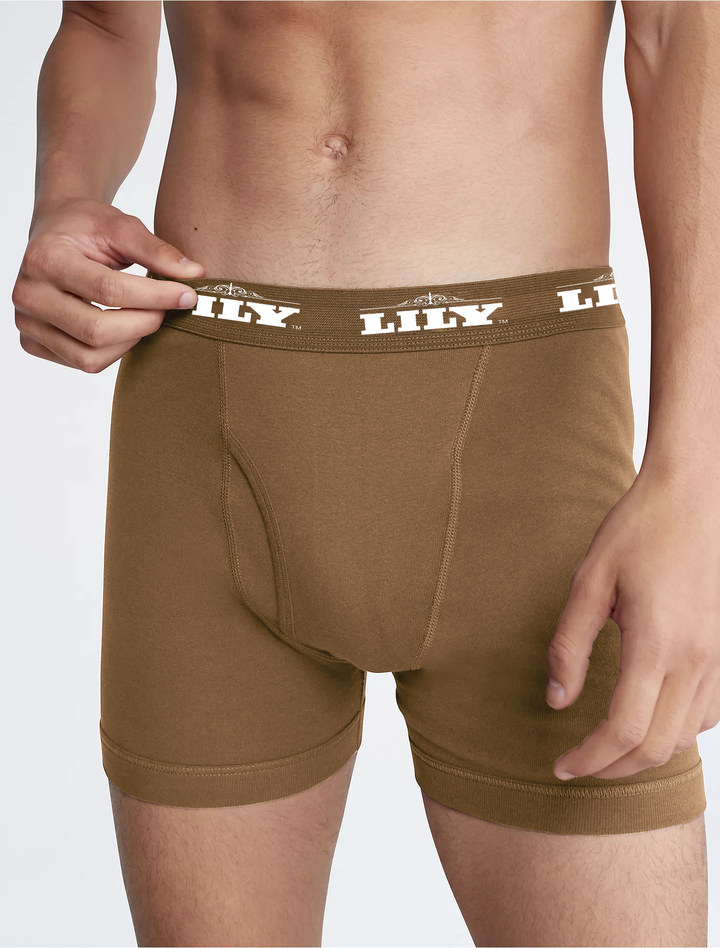 Men's luxury tawny boxer 101