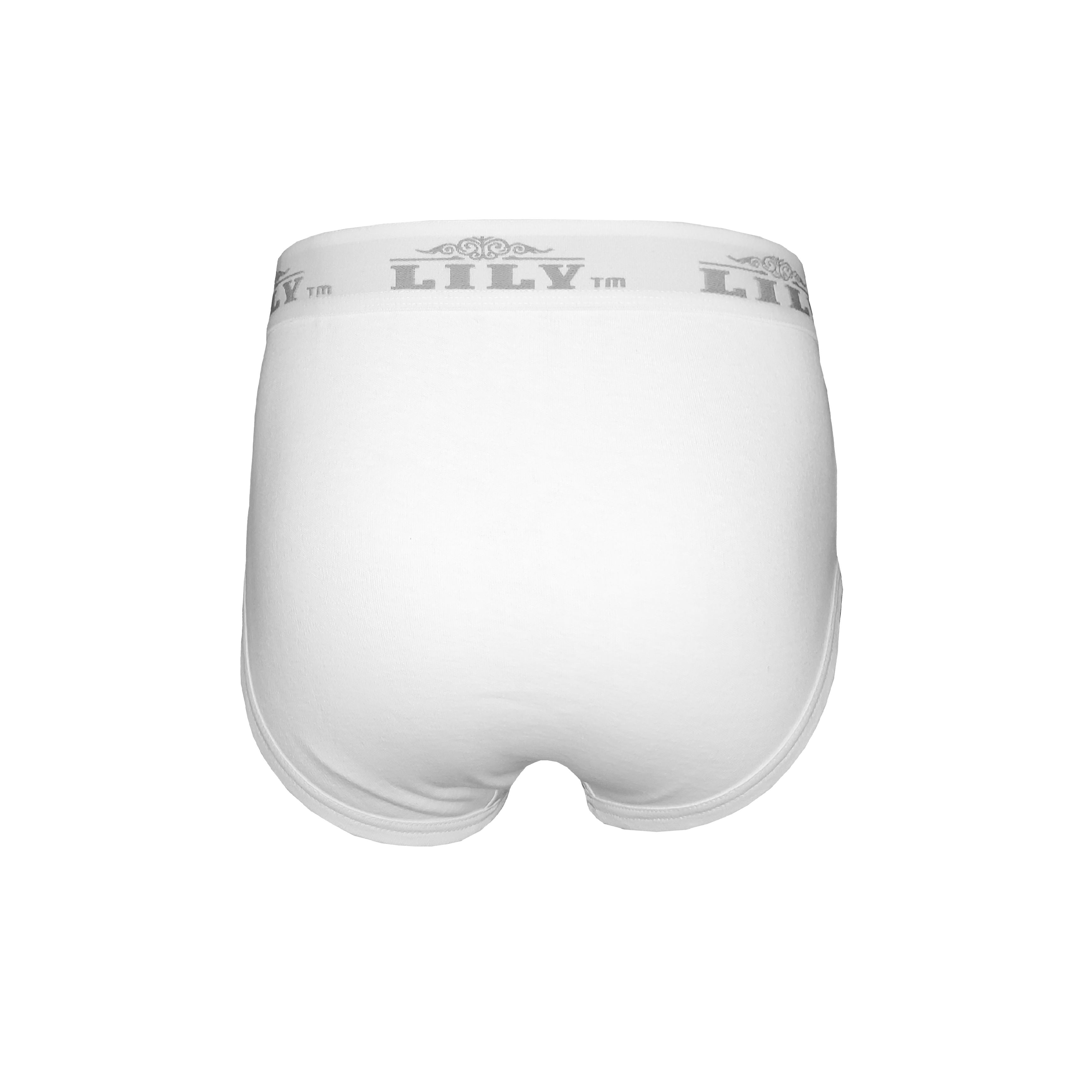 Men's luxury white brief 888