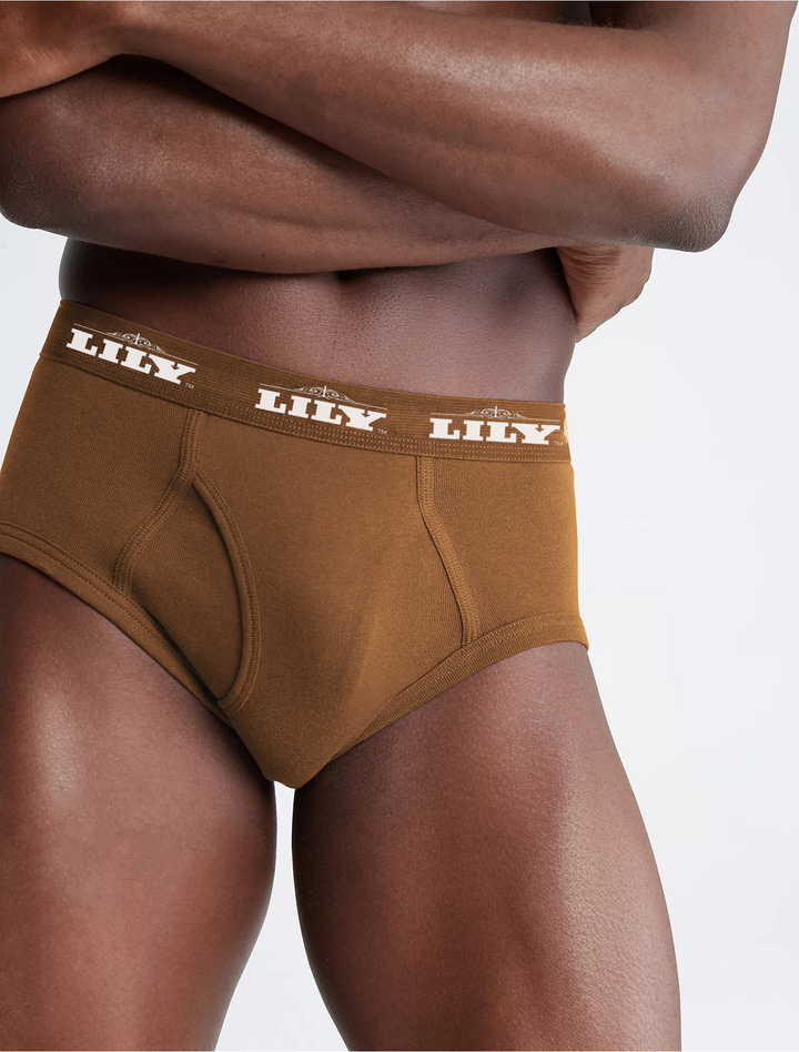 Men's luxury brown brief 101