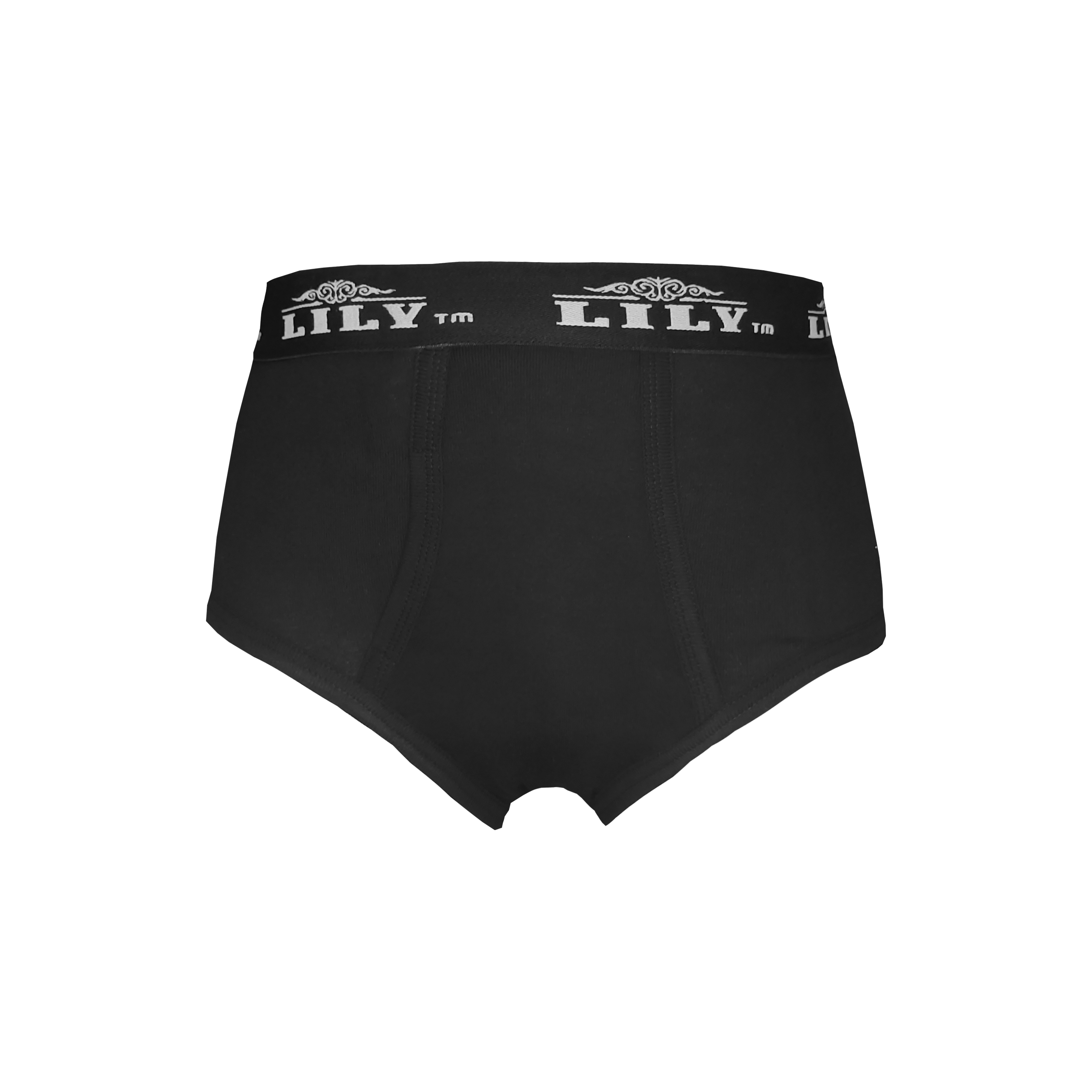 Men's luxury black brief 101