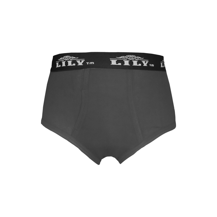 Men's luxury grey brief 101