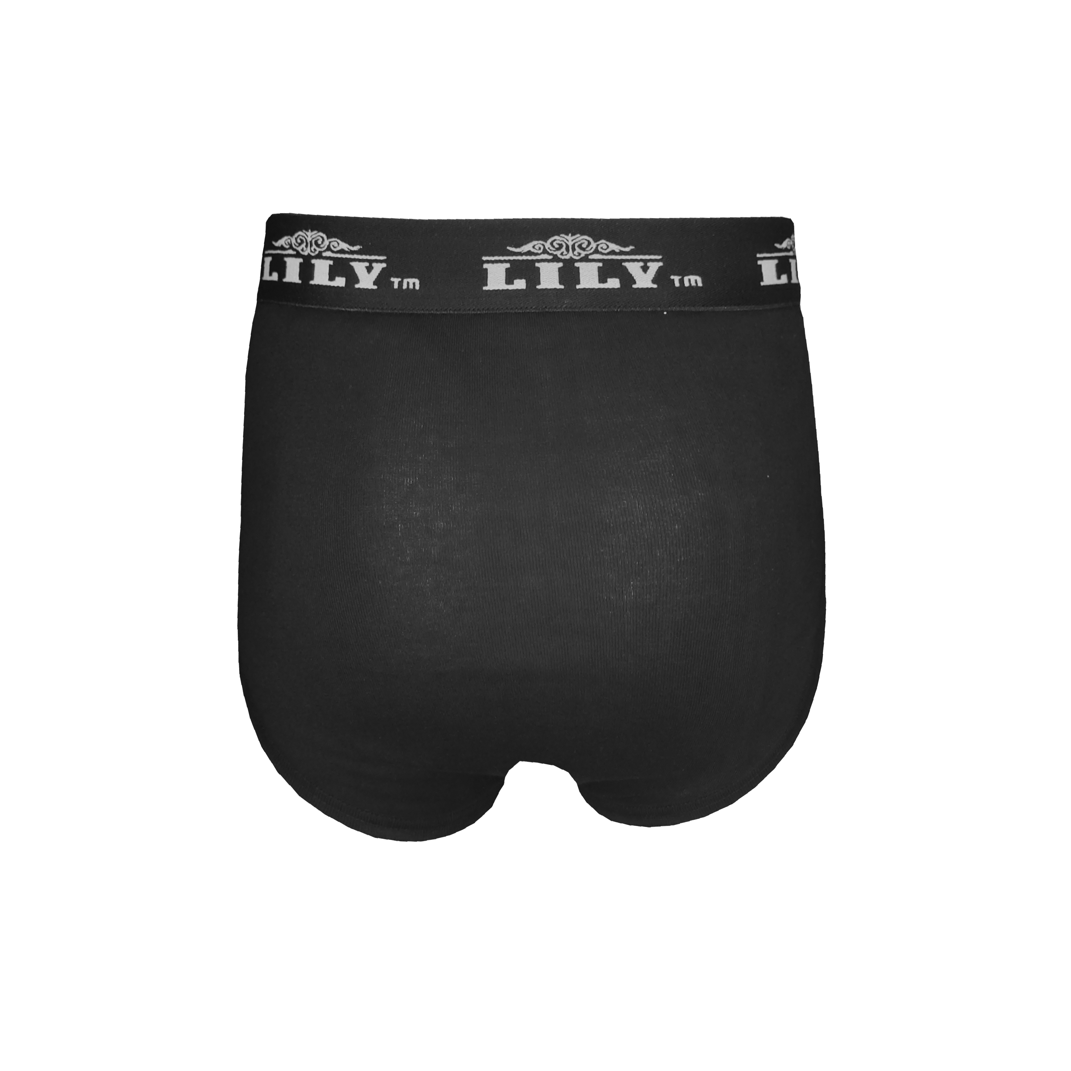 Men's luxury black brief 101