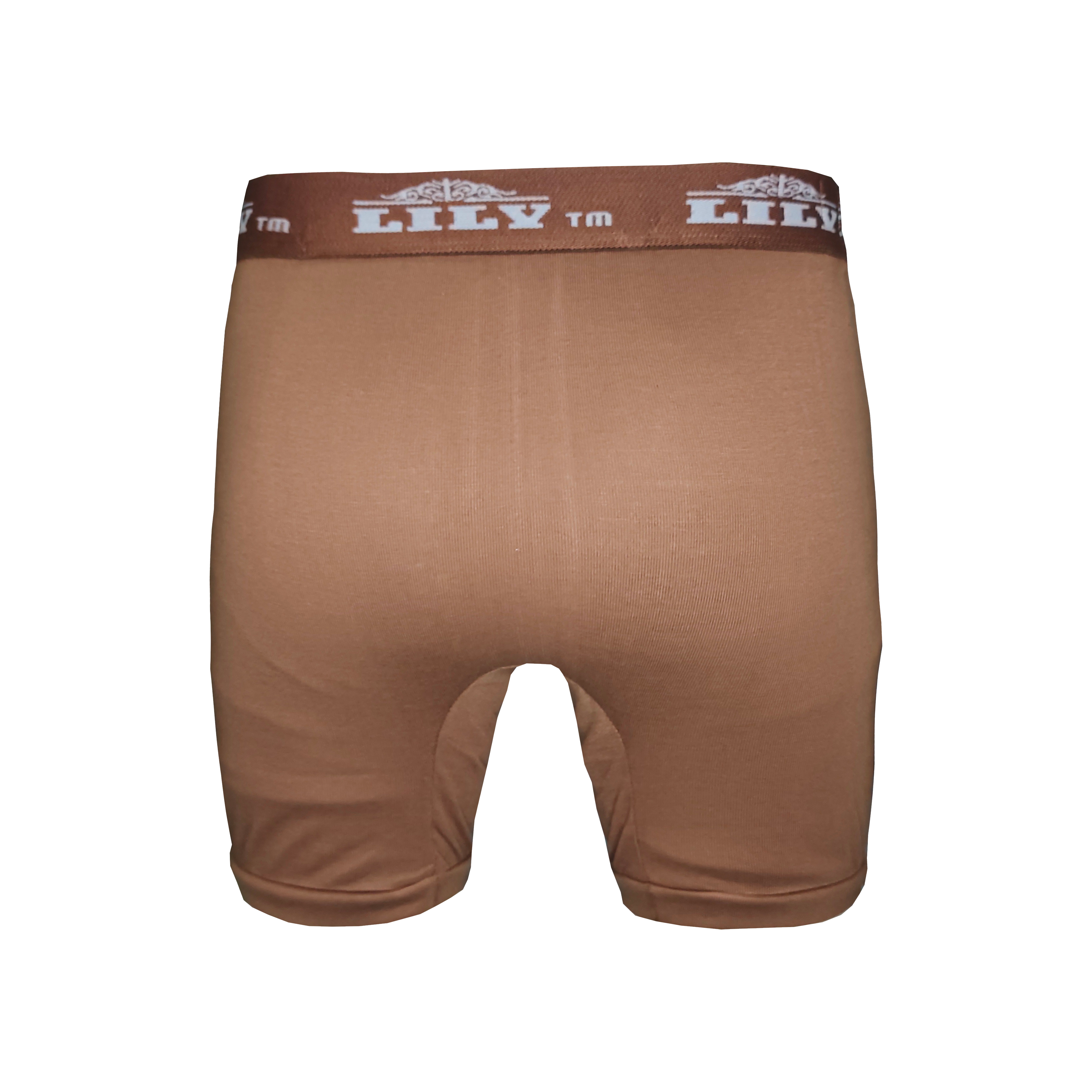 Men's luxury tawny boxer 101