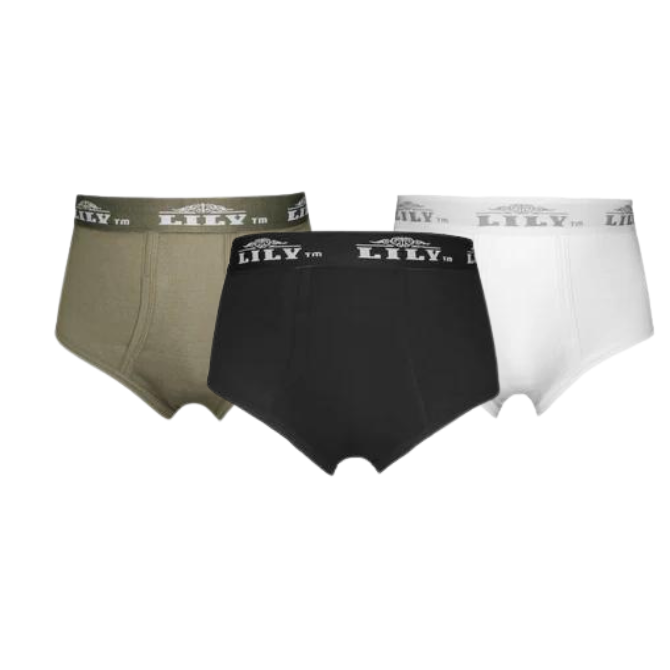 Pack Of 3 Men's luxury brief 101